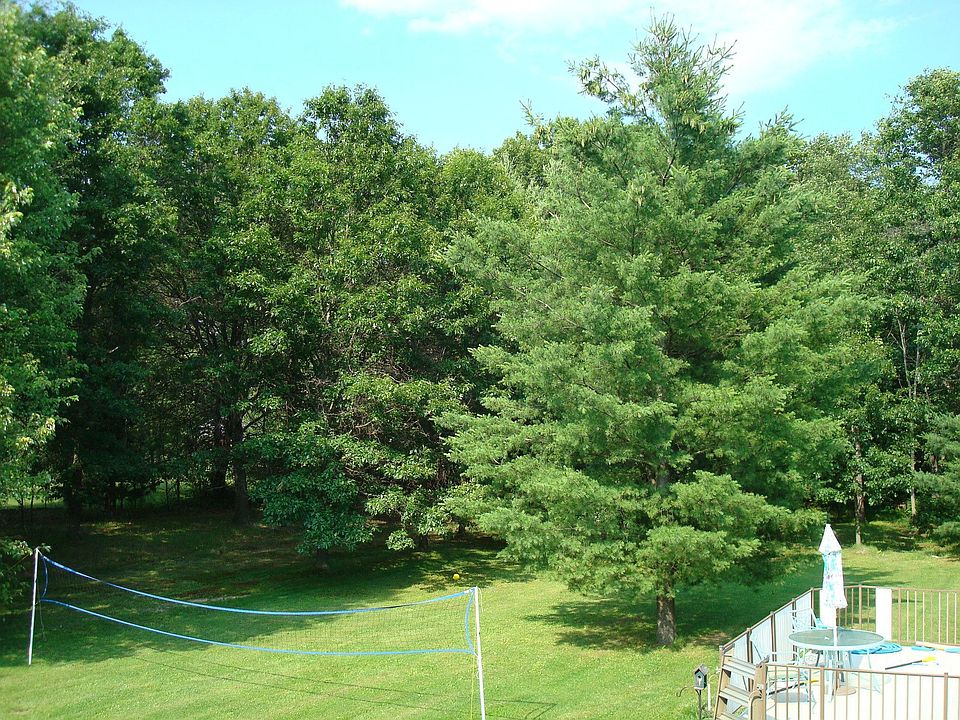 wooded yard