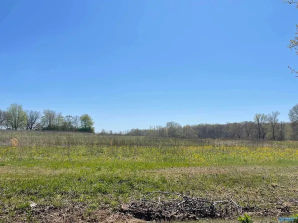 486 Phillips Rd, Hazel Green, AL 35750