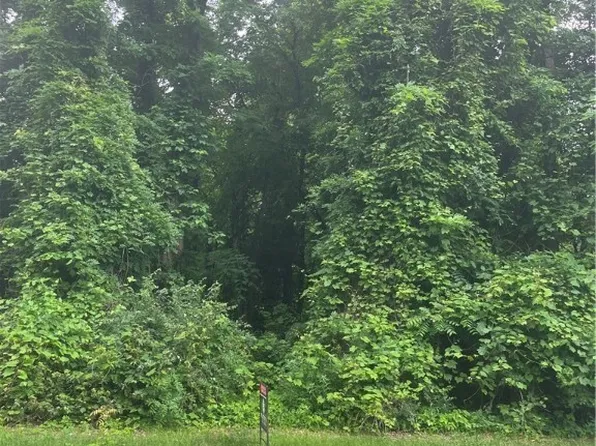 McMackin Rd, Madison, OH 44057