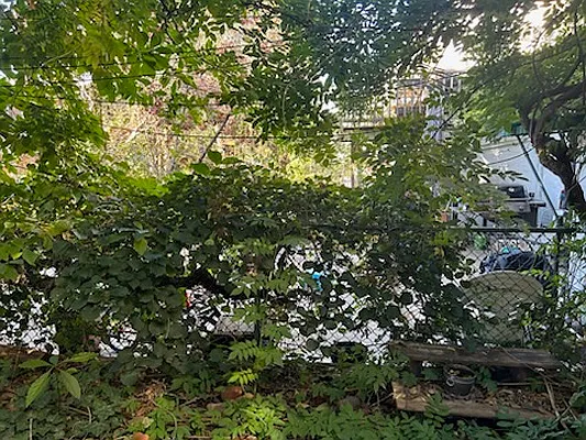 Rented by Farran & Associates | media 15