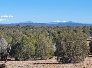 861-E2 Cable Rd #861, Williams, AZ 86046