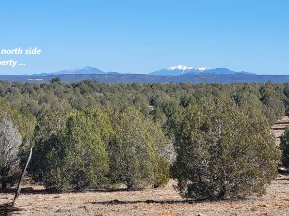 861 E2 Cable Road #861, Williams, AZ 86046