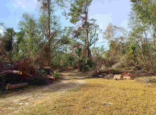 12592 Strickland Landing Ct, Perry, FL 32348