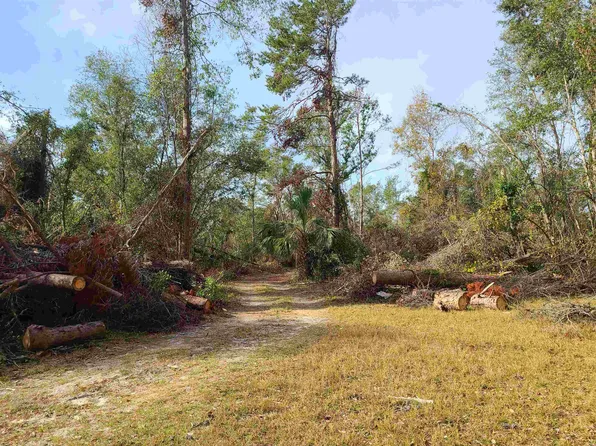 12592 Strickland Landing Ct, Perry, FL 32348