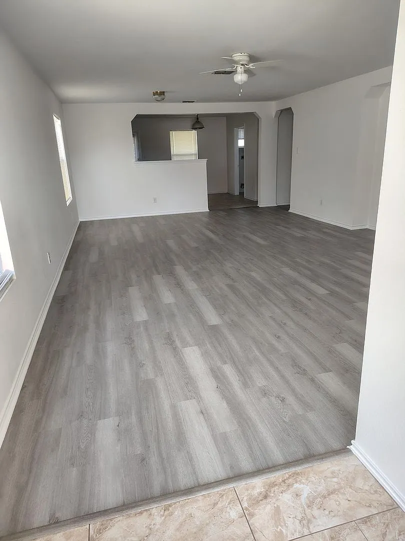 25714 Gold Yarrow — Photo 4