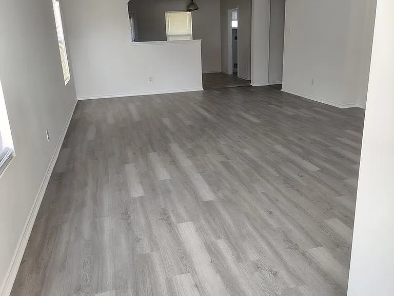25714 Gold Yarrow — Photo 4