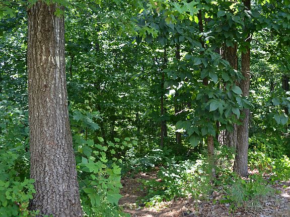 walk to school in this trail