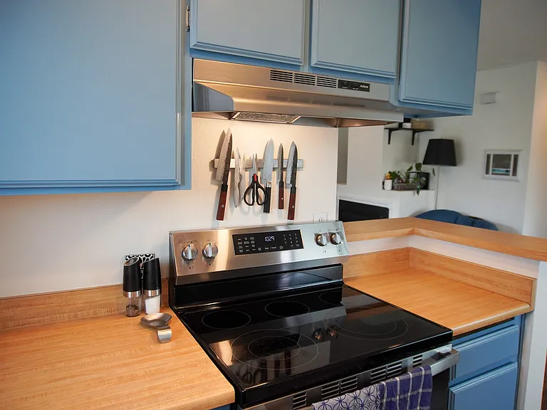 new oven/stove and dishwasher