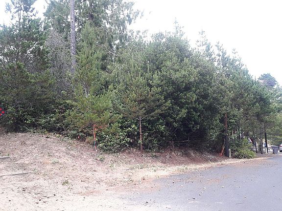 Walking path to the left