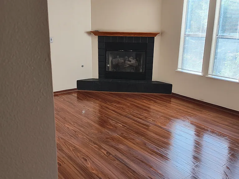 Living Room - Fireplace