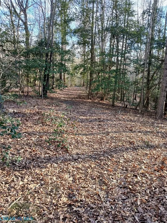 0 Bull Neck Rd photo 1