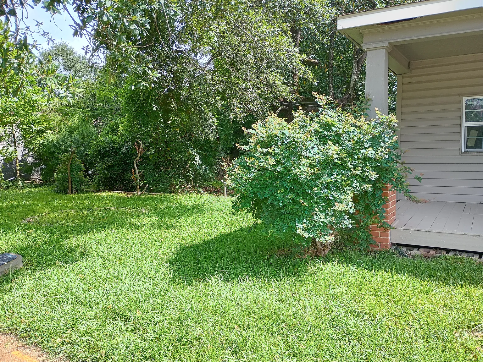 3 bed, 1140 sqft, $920 — Photo 3