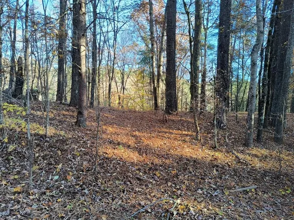 LOT 627 Novel Ct, Ellijay, GA 30540