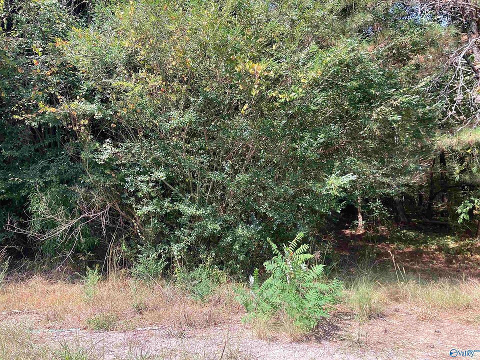 2nd image of 1 County Road 176