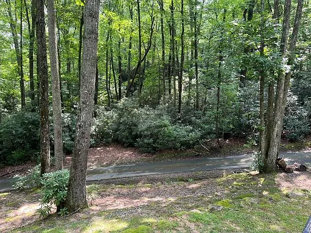 117 Bear Rock Rd — Photo 5