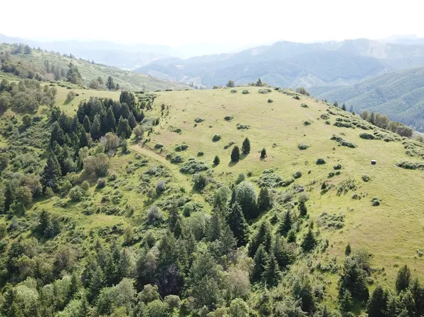 8143 Tiller Trail Hwy, Canyonville, OR 97417