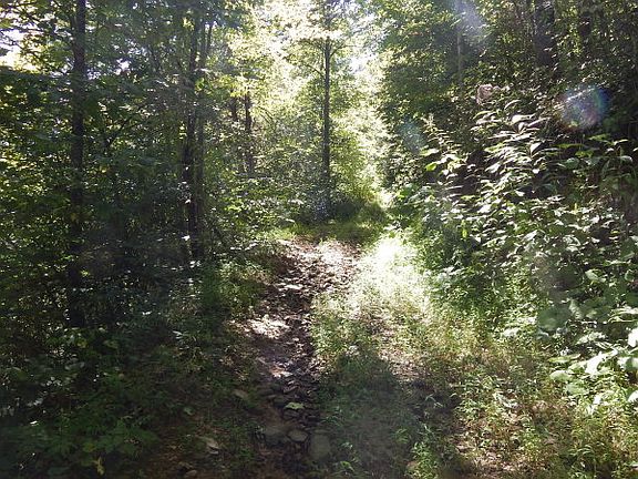 3rd image of 0 Upper Nicut Road