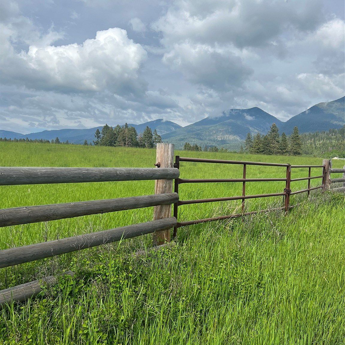 33734 S Finley Point Rd, Polson, MT 59860 Zillow