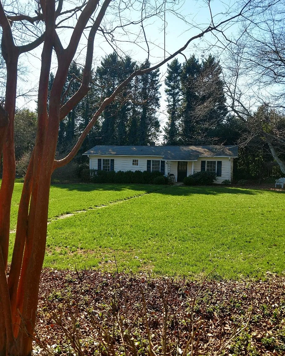 1 bed, 800 sqft, $1,375 — Photo 1