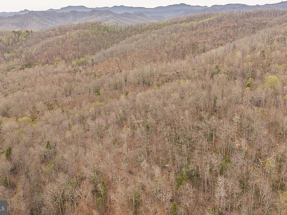 4th image of 0 Pine Branch Rd