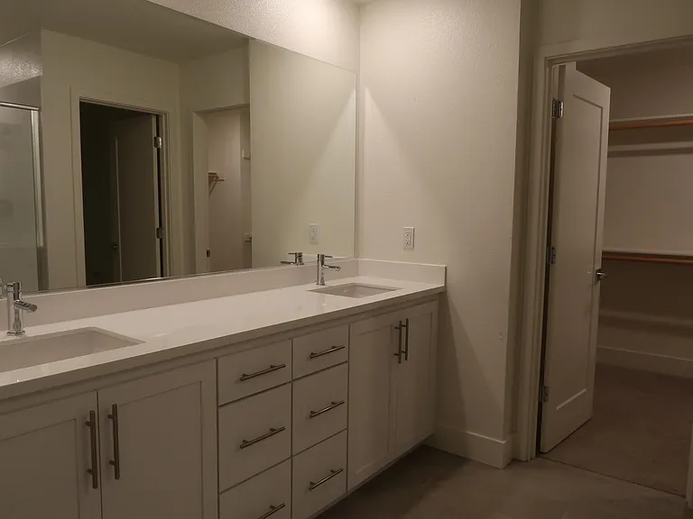Master bathroom sink vanity and walk in closet