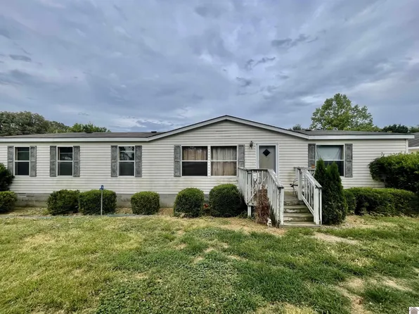 195 Pondview Ln, Almo, KY 42020