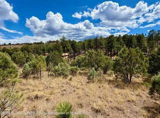 134 Stable Ct, Alto, NM 88312
