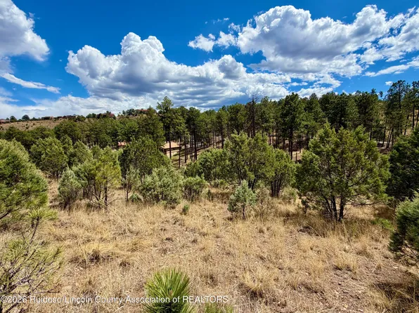 134 Stable Ct, Alto, NM 88312