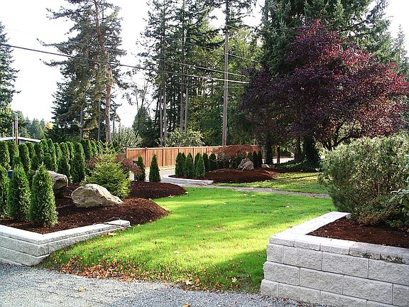 Front yard