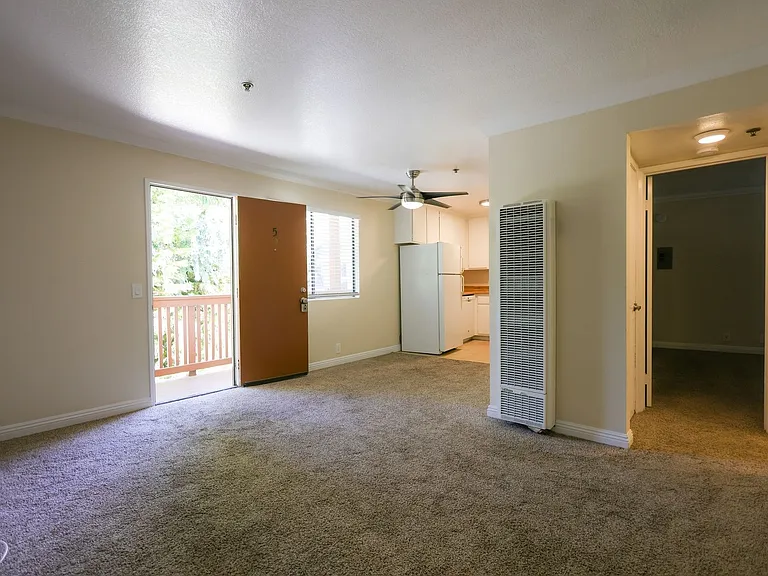 248 Avenida Palizada — Photo 3