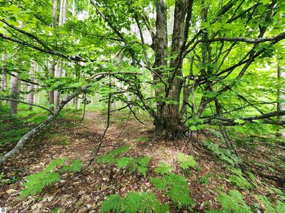 0 Christie Dr, Kalkaska, MI, 49646