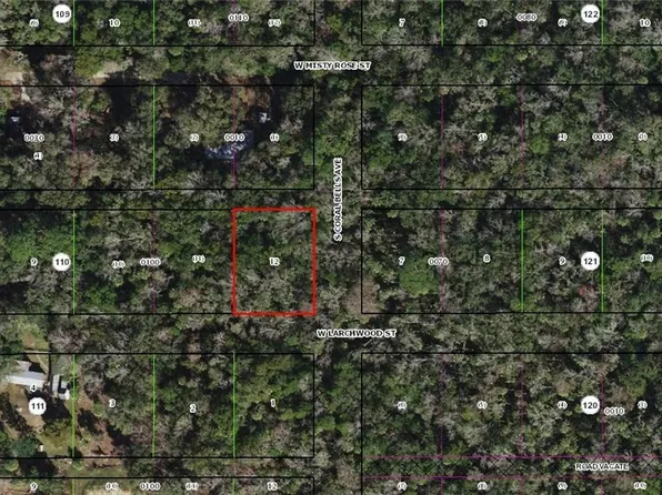 10389 W Larchwood St, Homosassa, FL 34448