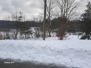 LOT 4 Brussell St, Wells, NY 12190