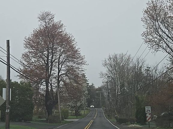 4th image of 1355 Bustleton Pike