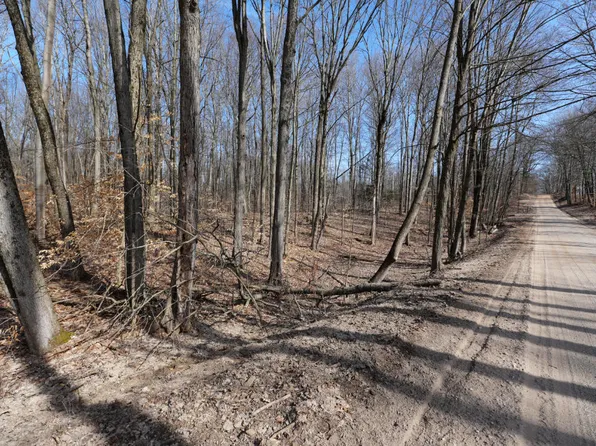 W Van Buren St, Hesperia, MI 49421