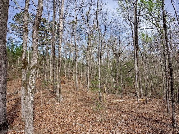 Waynesboro Ga Tract 3 018