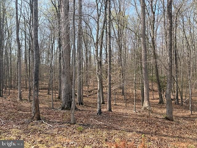1st image of 105 Chimney Swift Rd