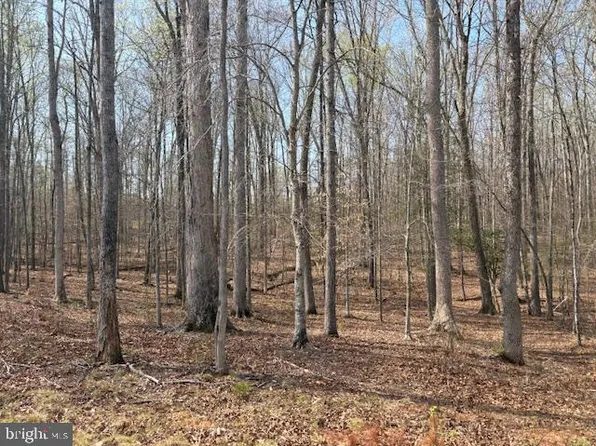 105 Chimney Swift Rd, Fredericksburg, VA 22406