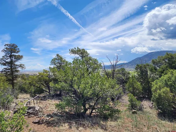 326 Pikrd Peak Road, South Fork, CO 81154