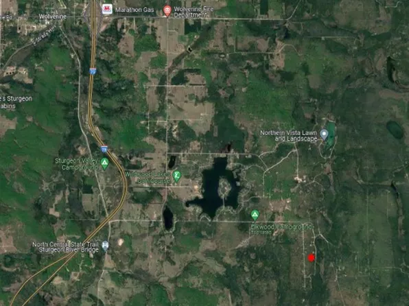 16419 Timberline Dr, Wolverine, MI 49799