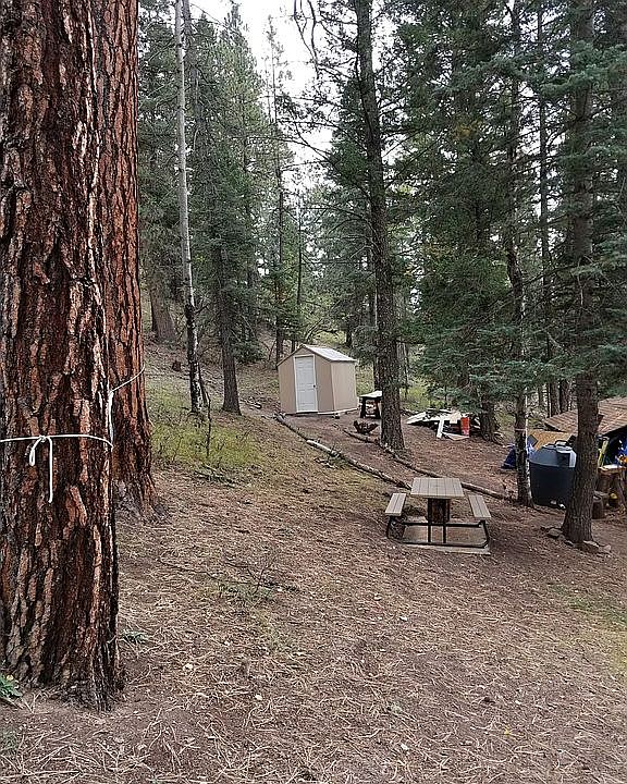 126 Iron Gate Rd, Tererro, NM 87573 Zillow