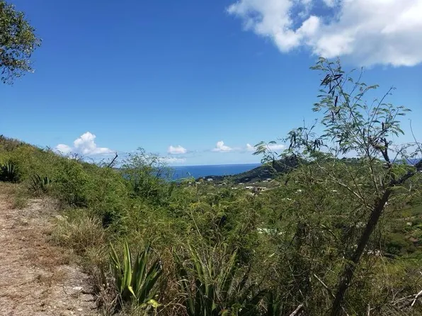 103 Hope & Carton H EB, St. Croix, VI 00820