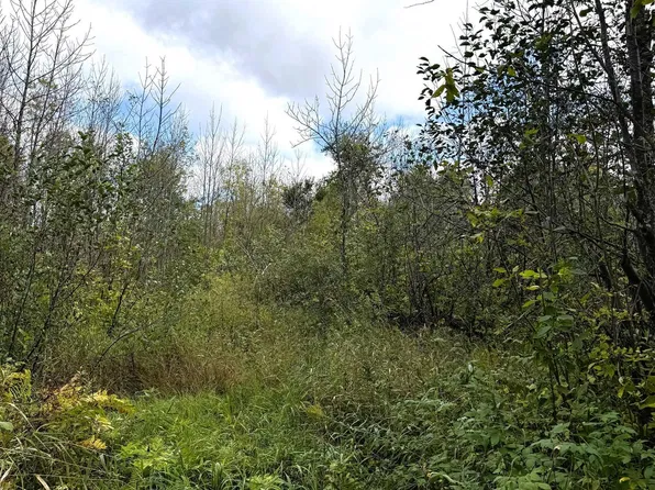 tbd Trail Rd, Barnum, MN 55707