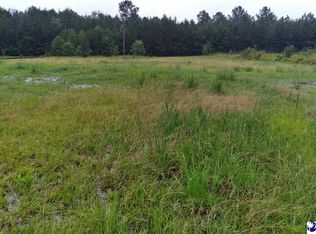 413 Wallace St, Lake City, SC 29560