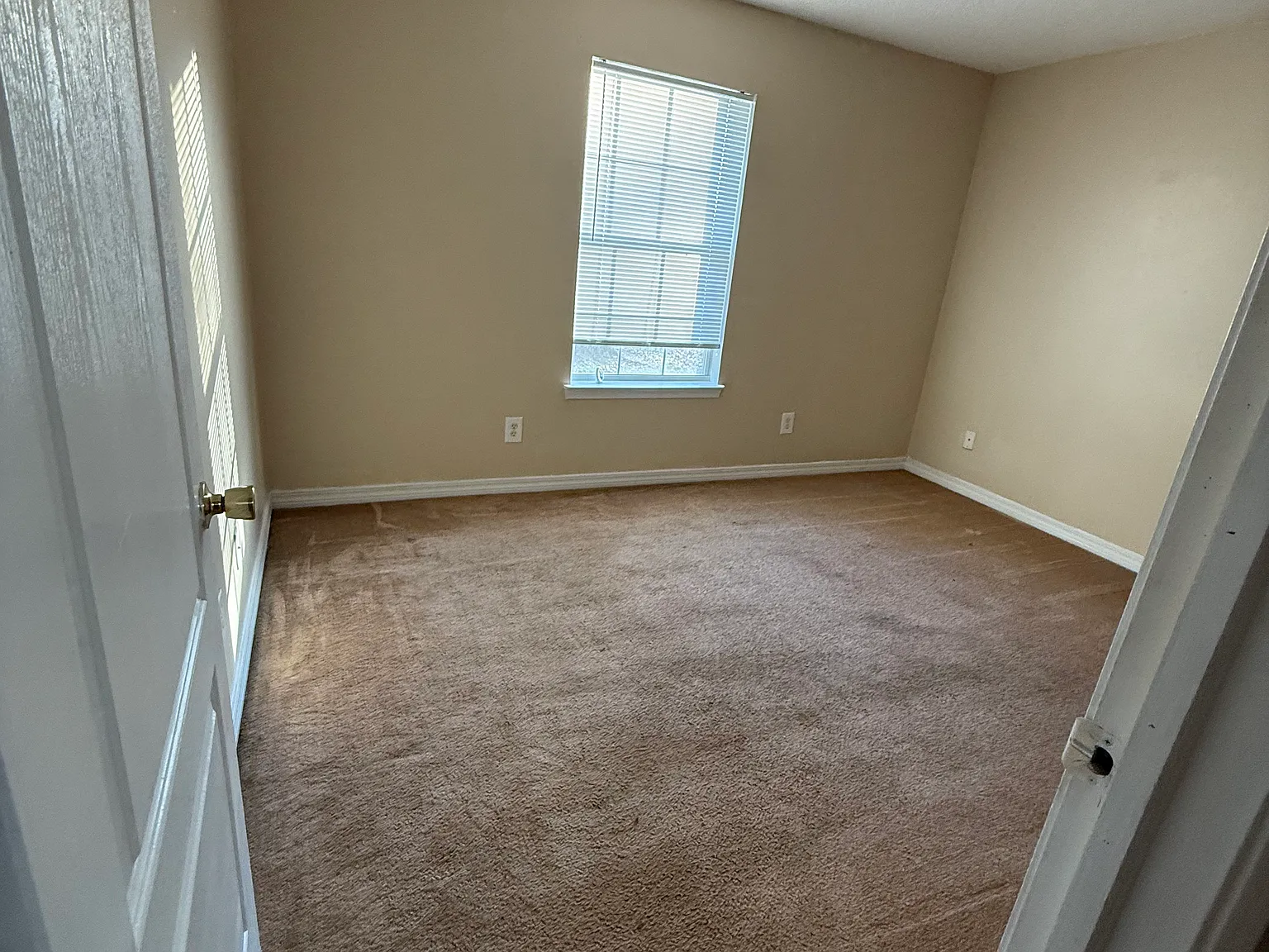 8938 Bluebell St — Photo 4