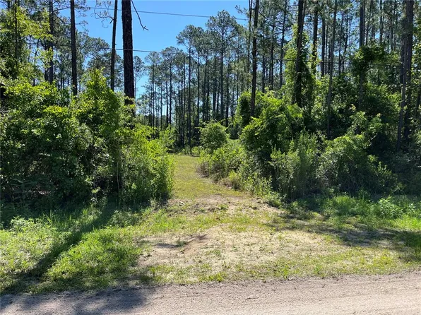 1451 Hickory St, Bunnell, FL 32110