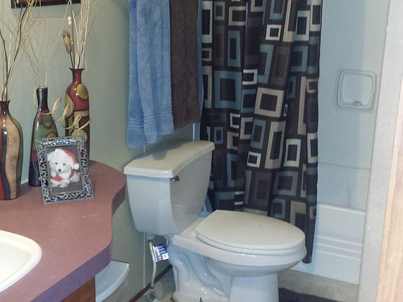 5th image of 55 Gold Sand Ln
