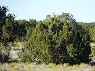 LOT 257 Chevelon Canyon Rnch LOT 257, Heber, AZ 85928