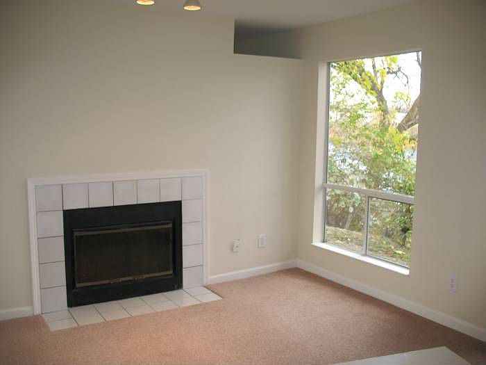 Living Room Fireplace