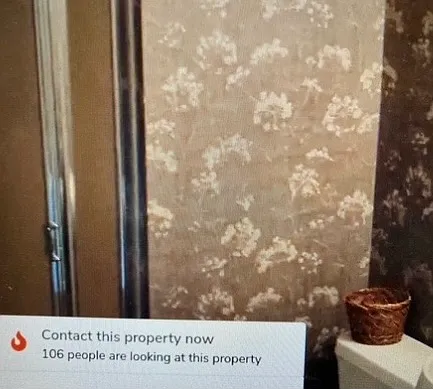 1 bed, 225 sqft, $895 — Photo 1